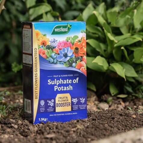 Sulphate of Potash  1.5kg