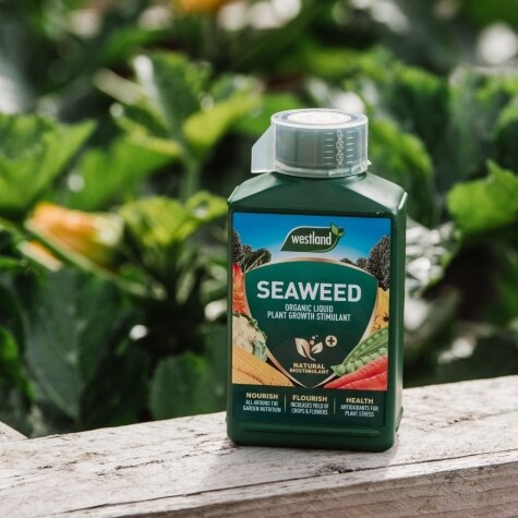 Westland Seaweed Specialist Liquid Feed 1L