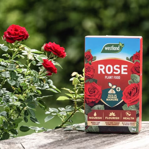 Rose Food Enriched Horse Manure 3kg
