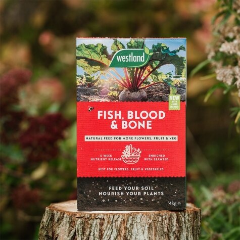 FISH, Blood & Bone 4kg