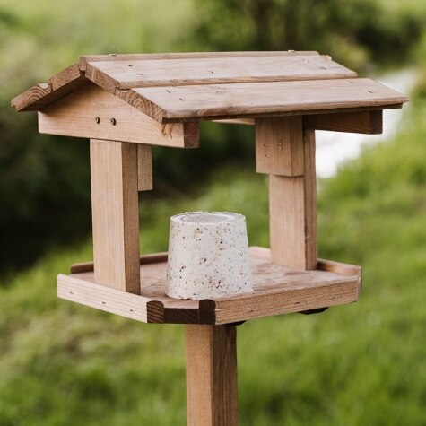 GM Seed & Mealworm Topper