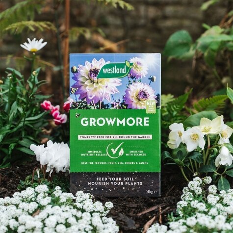 Growmore  4kg