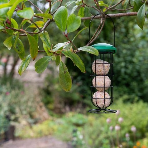 GM Flip Top Fat Snax Feeder