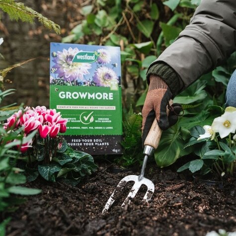 Growmore  4kg