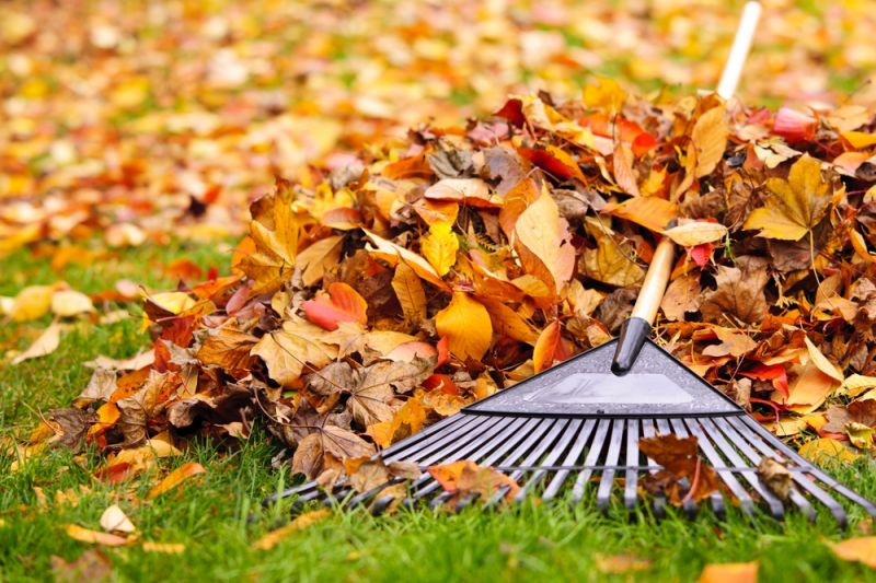 Top Tips for Winter