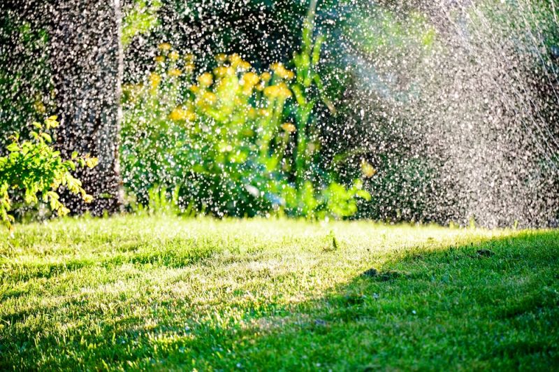 7 ways to help your garden cope with heat waves - Rutland Garden Village,  Oakham, Rutland