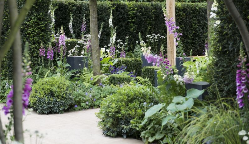 Enjoy Hampton Court Flower Show