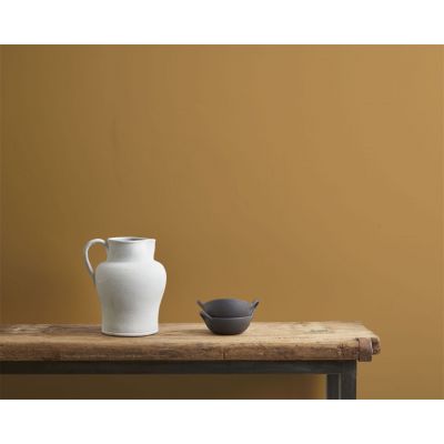 Annie Sloan Wall Paint 120ml Carnaby Yellow - image 3