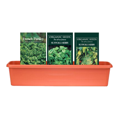 Aromatic Herb Bundle