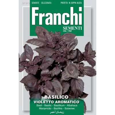 Basil Red Violetto