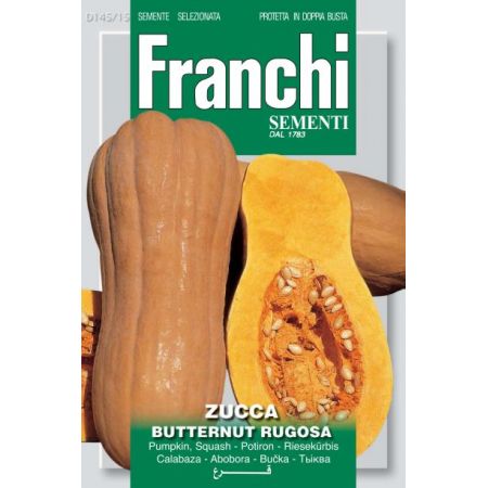 Butternut Squash Rugosa