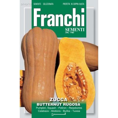 Butternut Squash Rugosa