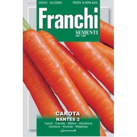 Carrot Nantese Chioggia