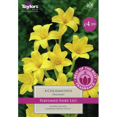Wide Range of Quality Bulbs at Rutland Garden Centre