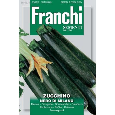 Courgette Nero Milan