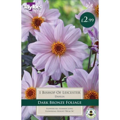 Quality Bulbs at Rutland Garden Centre