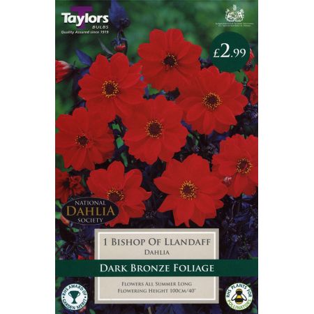 Wide Range of Quality Bulbs at Rutland Garden Centre