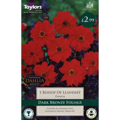 Wide Range of Quality Bulbs at Rutland Garden Centre