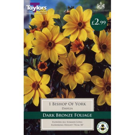 Wide Range of Quality Bulbs at Rutland Garden Centre