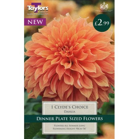 Wide Range of Quality Bulbs at Rutland Garden Centre