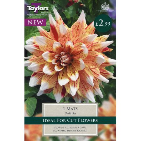 Wide Range of Quality Bulbs at Rutland Garden Centre