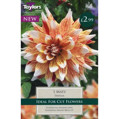 Wide Range of Quality Bulbs at Rutland Garden Centre