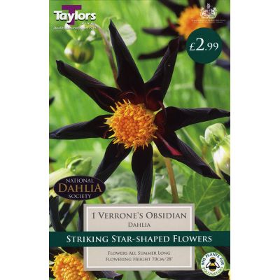 Wide Range of Quality Bulbs at Rutland Garden Centre