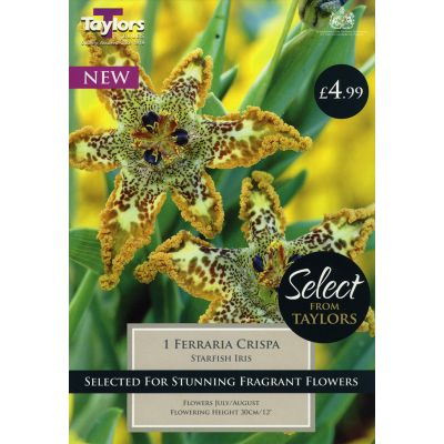 Wide Range of Quality Bulbs at Rutland Garden Centre