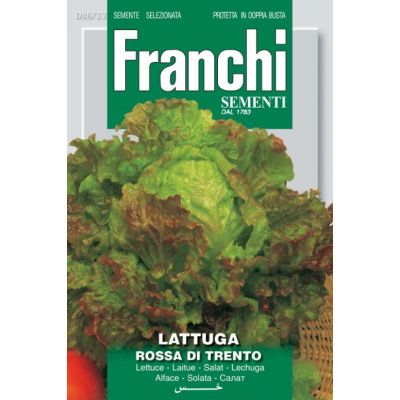 Lettuce Trento
