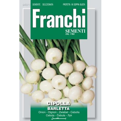 Onion Barletta