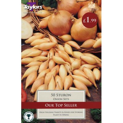Onion Sets at Rutland Garden Centre
