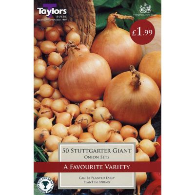 Onion Sets at Rutland Garden Centre