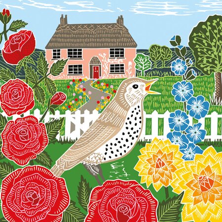 Thrush a Cottage Card