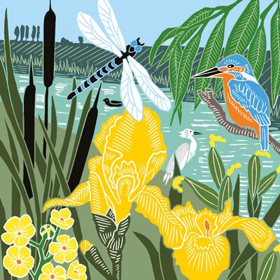 Kingfisher & Dragonfly Card
