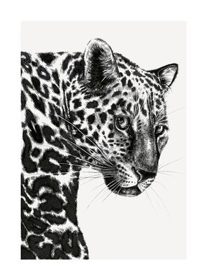 Ink & Shadow Leopard Card