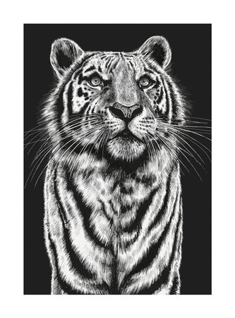 Ink & Shadow Tiger Card