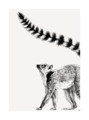 Ink & Shadow Lemur Card