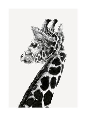 Ink & Shadow Giraffe Card