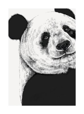 Ink & Shadow Panda Card