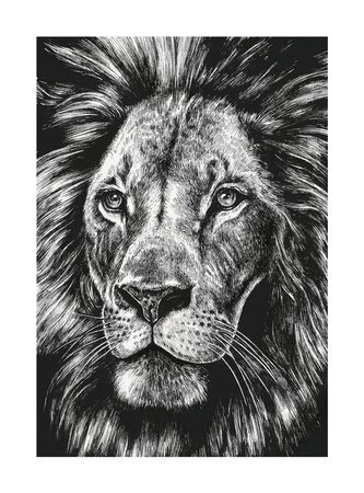 Ink & Shadow Lion Card