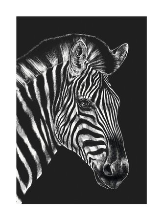Ink & Shadow Zebra Card