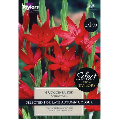 Wide Range of Quality Bulbs at Rutland Garden Centre