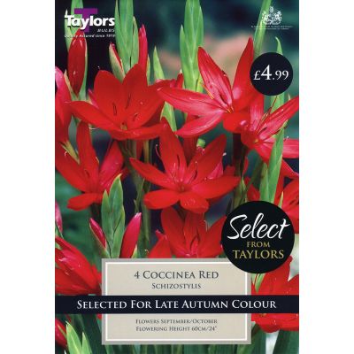 Wide Range of Quality Bulbs at Rutland Garden Centre