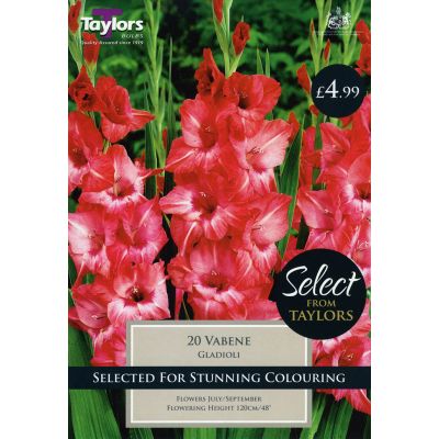 Quality Bulbs at Rutland Garden Centre