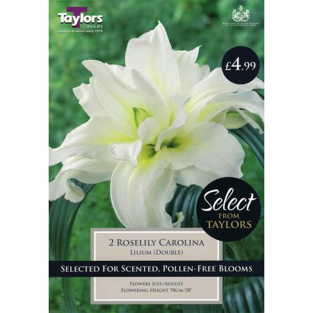 Buy quality bulbs at Rutland Garden Centre