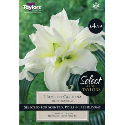 Buy quality bulbs at Rutland Garden Centre