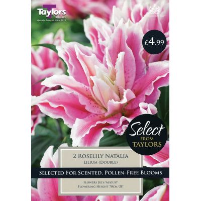 Buy Quality Bulbs at Rutland Garden Centre