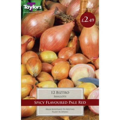 Onion Sets at Rutland Garden Centre