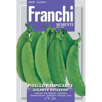Snow Pea / Sugarsnap Gigante