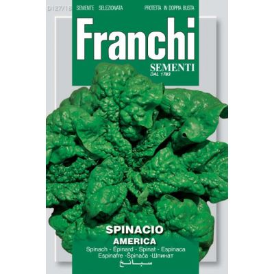 Spinach America